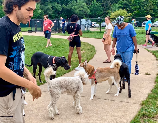Fairmont Dog Park photo 2